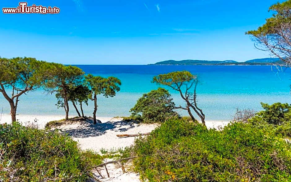 Sardinia Guest House - Adults Only