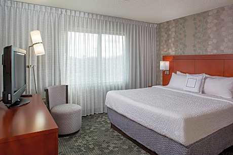 1 Bedroom Larger Suite, 1 King, Sofa bed