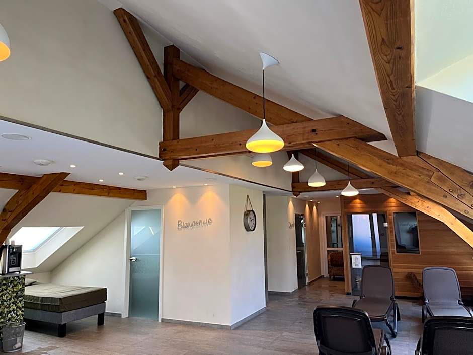 Hotel Spa et Restaurant Au Chasseur