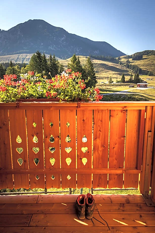 Almhaus Alpenrose Postalm