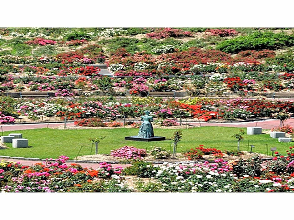 Hotel Satsukien - Vacation STAY 75963v