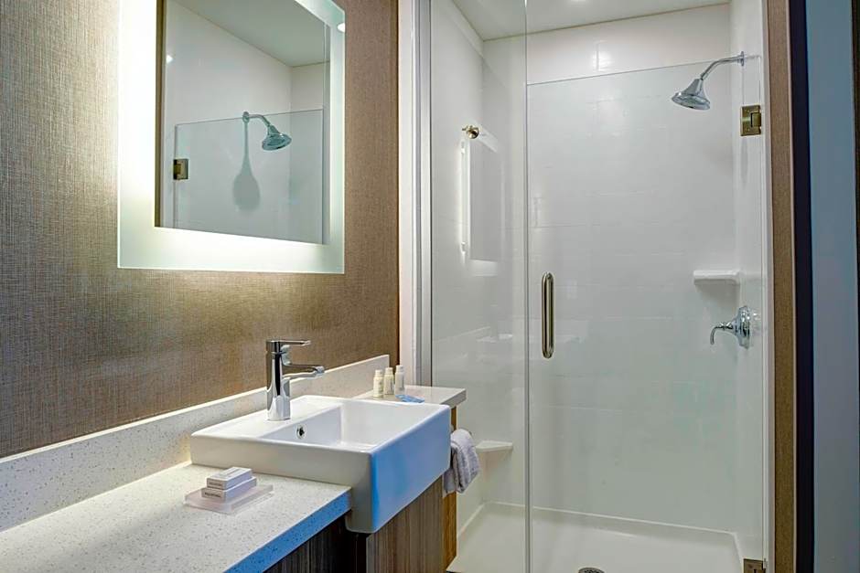 SpringHill Suites by Marriott Grand Rapids West