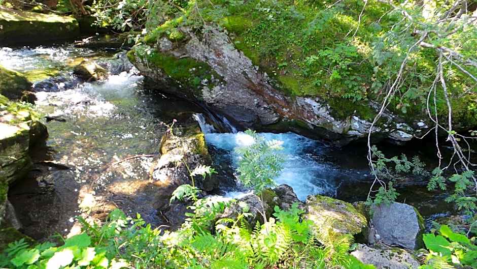 Hotel Bella Di Bosco