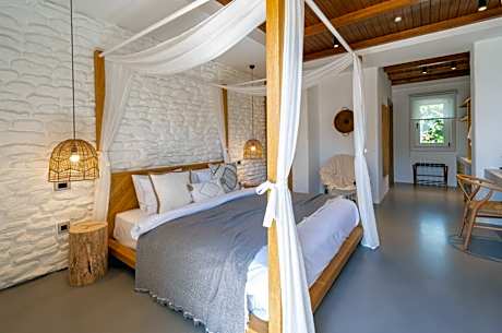 Double Room with Patio