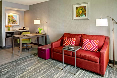 1 King Bed Studio Suite W/ Sofabed Nonsmoking