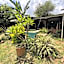 Sabie Gypsy's Backpackers