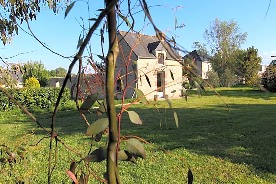 La ferme aux chats