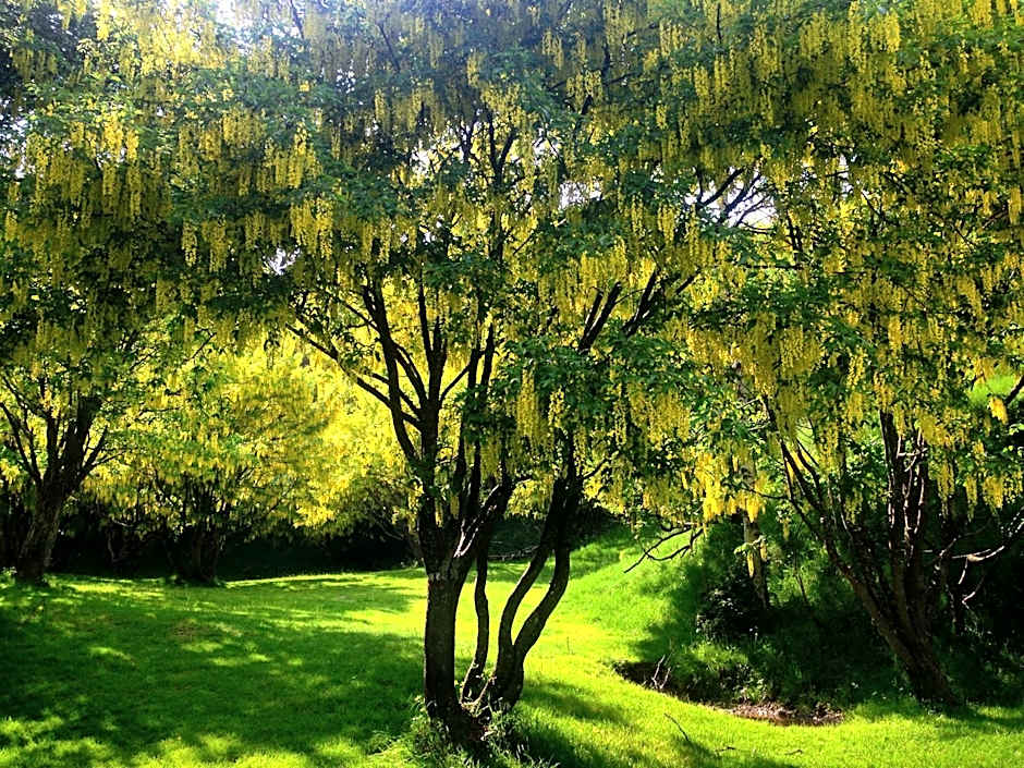 Hotel Villa Simplicitas