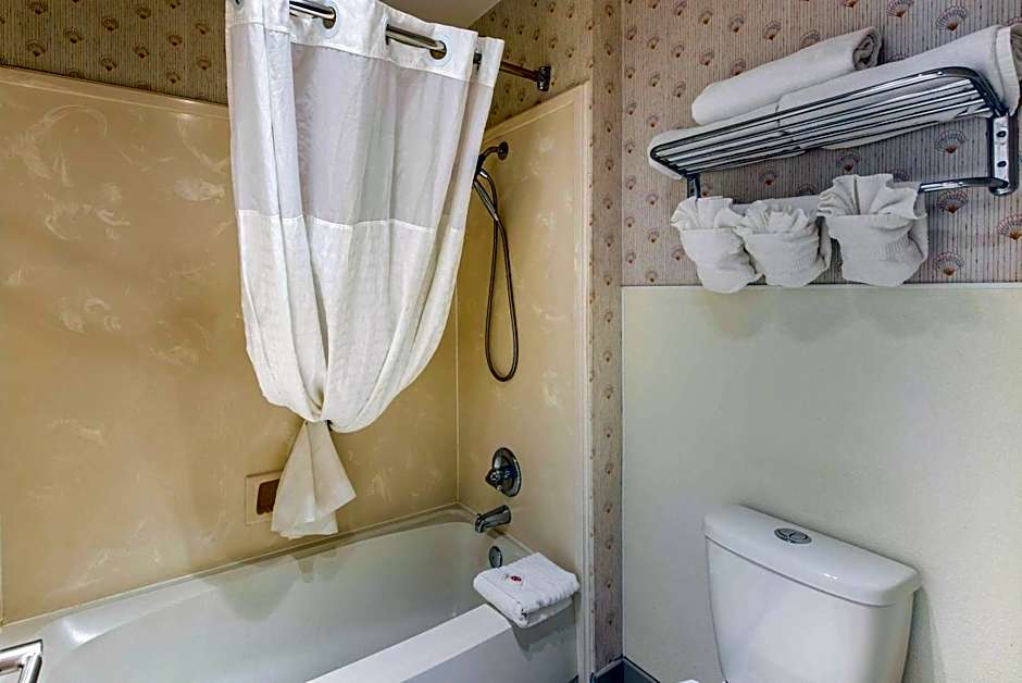 Comfort Inn Mount Shasta Area