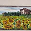 B&B Il Girasole - Rooms & House in country - air conditioned - 1500 meters from historic center