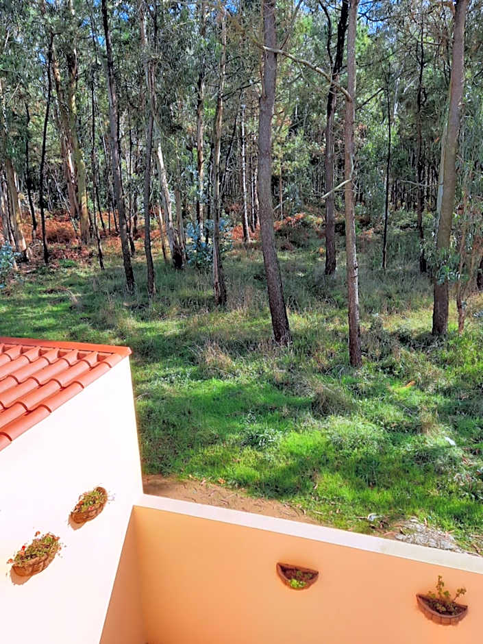 Smiling Places - Guest House in Labruge