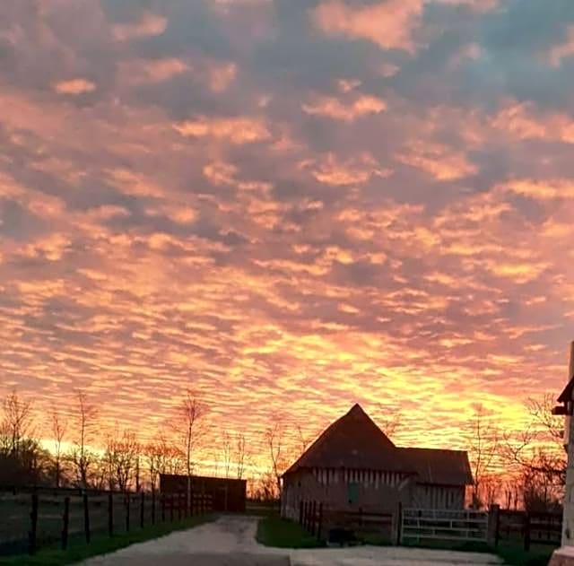 B&B Haras de la Cour Fleury