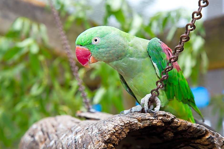 Seven Mile Beach Holiday Park