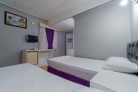 DOUBLE SINGLE USE GARDEN VIEW