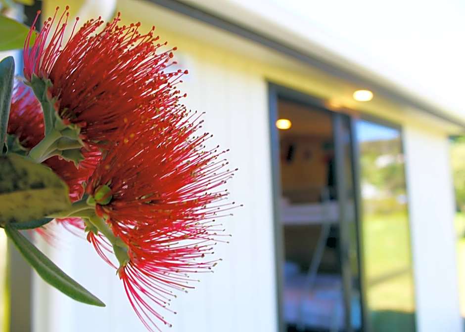 Waitangi Holiday Park