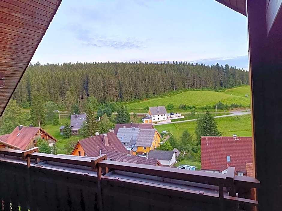 Auerhahn Bed and Breakfast - Black Forest - Waldhotel