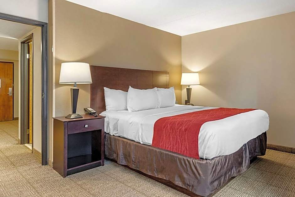 Comfort Inn Lansing West