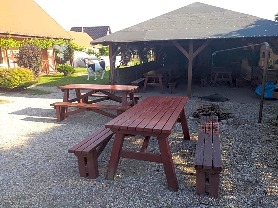 Przestronne domki Sztutowo