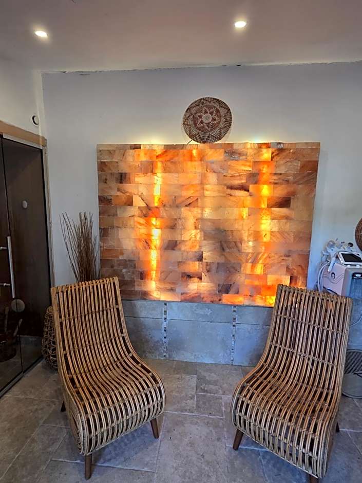 Mas au Cœur de La Provence & SPA