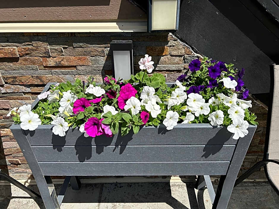 Riverside Motel Cache Creek