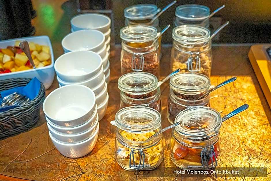 Hotel Molenbos Texel