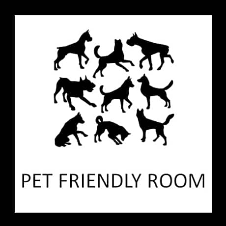 Pet Friendly Captain Suite