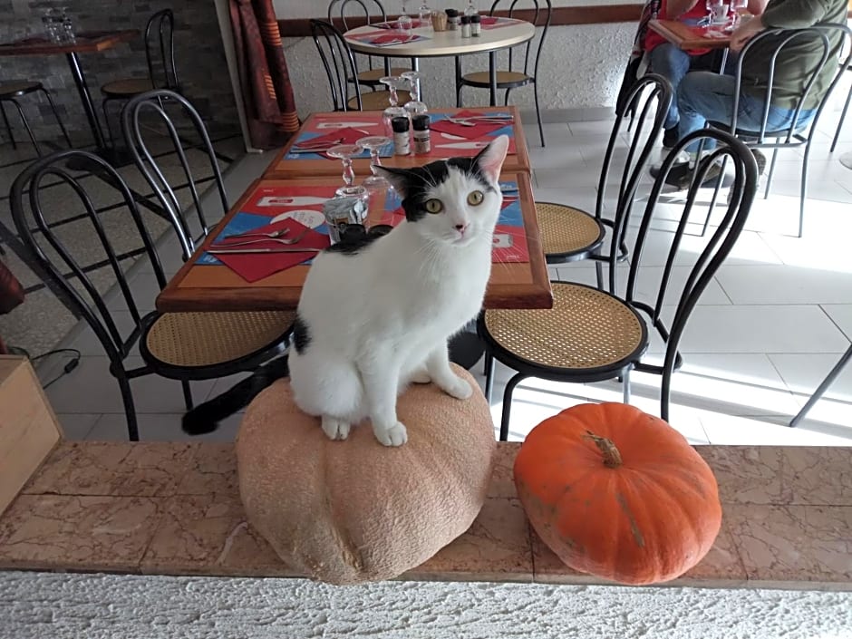 Relais de la Mothe LA SUITE