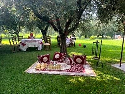 La Casa Gialla A MONTIGNOSO