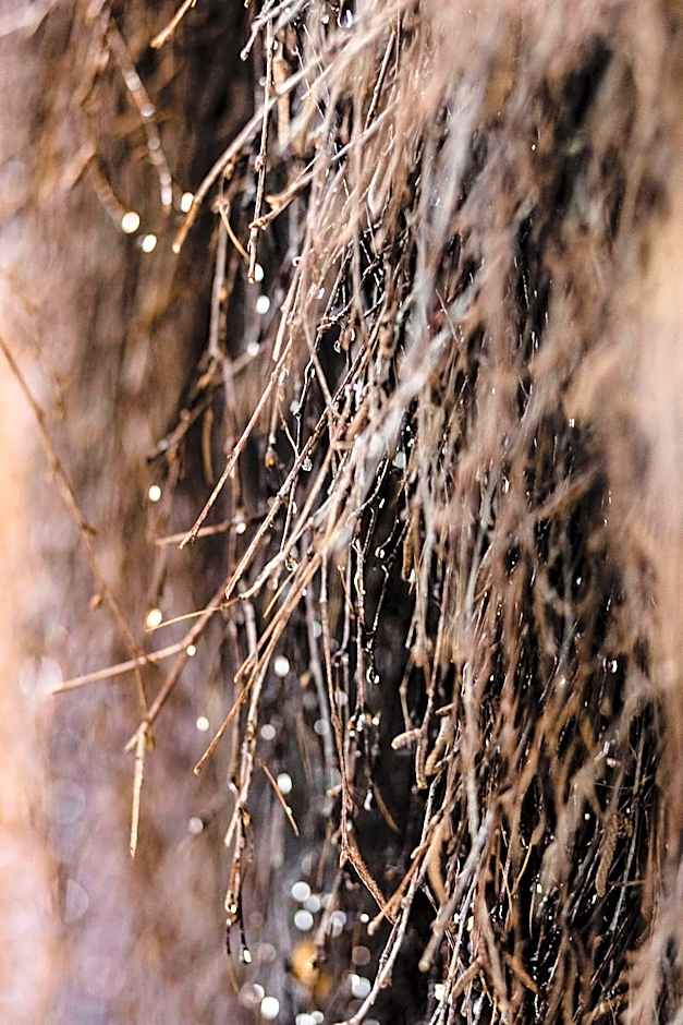 Pensjonat Laworta Ski