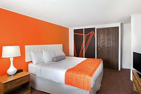 1 King Bed Non-Smoking