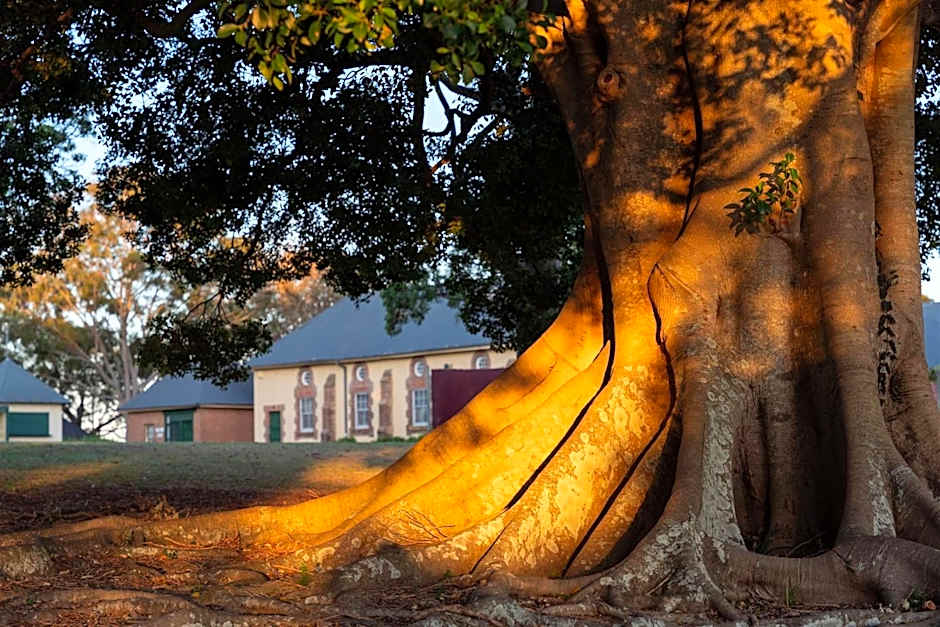 Coolangatta Estate Shoalhaven Heads