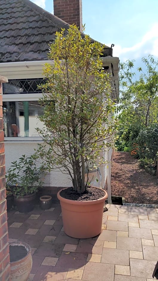 Best Area Close to Leeds Centre