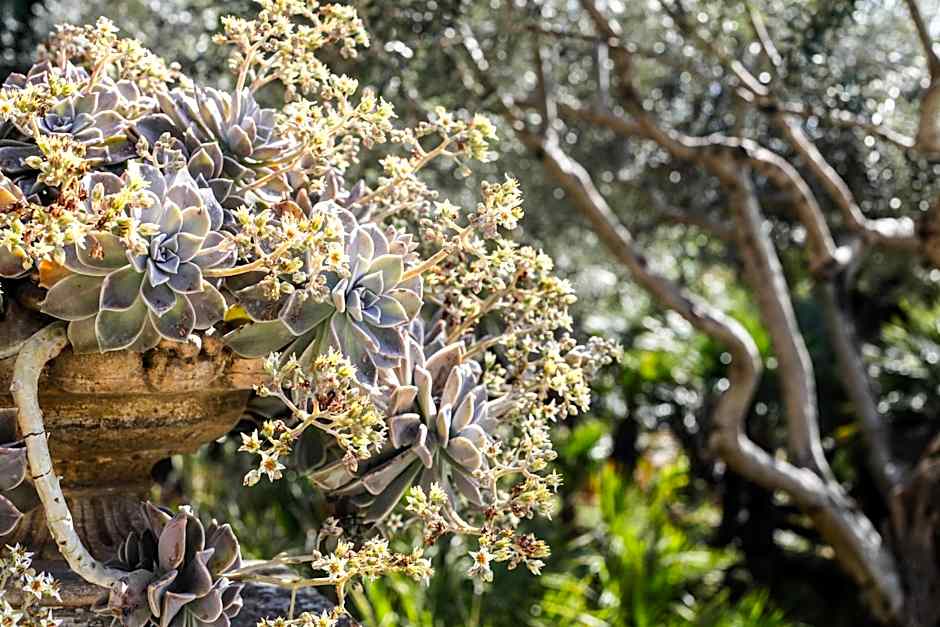 Ngonia Bay Boutique Hotel