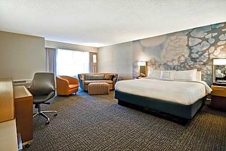 Larger Guest room, 1 King