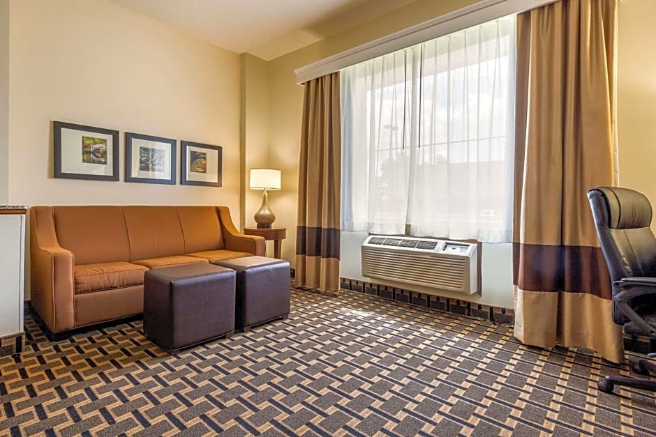 Comfort Inn Summerville - Charleston