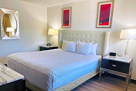 1 King Bed Non-Smoking