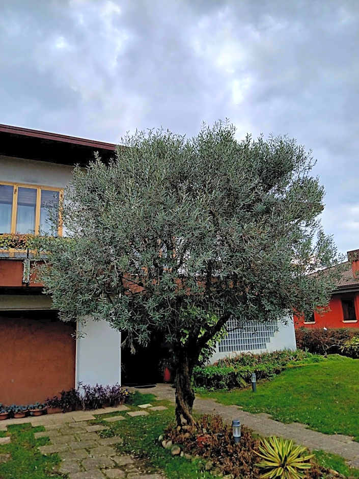 B&B Ponte Marchese
