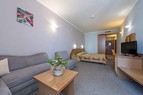 Comfort Double Room (3 Adults + 1 Child)