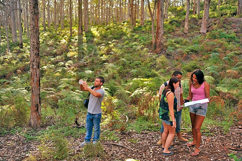 Margarets In Town Apartments