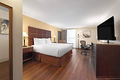 King Room - Non-Smoking