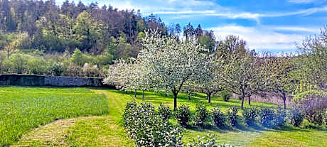 One-Bedroom Apartment with Garden