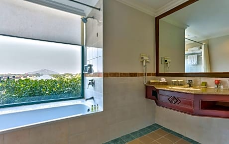 King One Bedroom Apartment Suite With Terrace