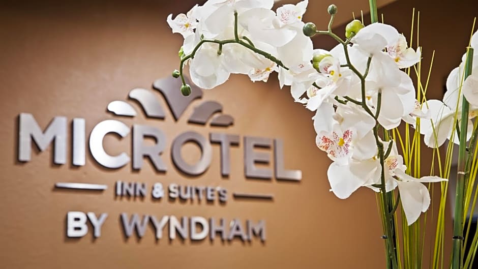 Microtel Inn & Suites By Wyndham Round Rock