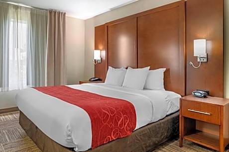 Business King Suite - Accessible/Non-Smoking