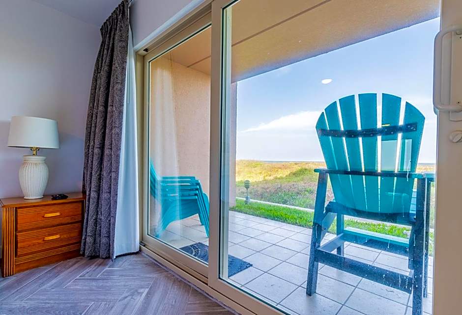 Seagull's Landing By The Ocean