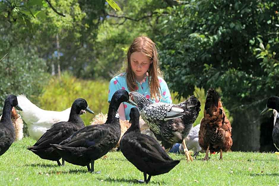 Pukenui Holiday Park