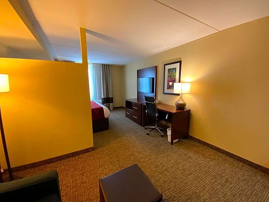 Comfort Suites Fredericksburg North