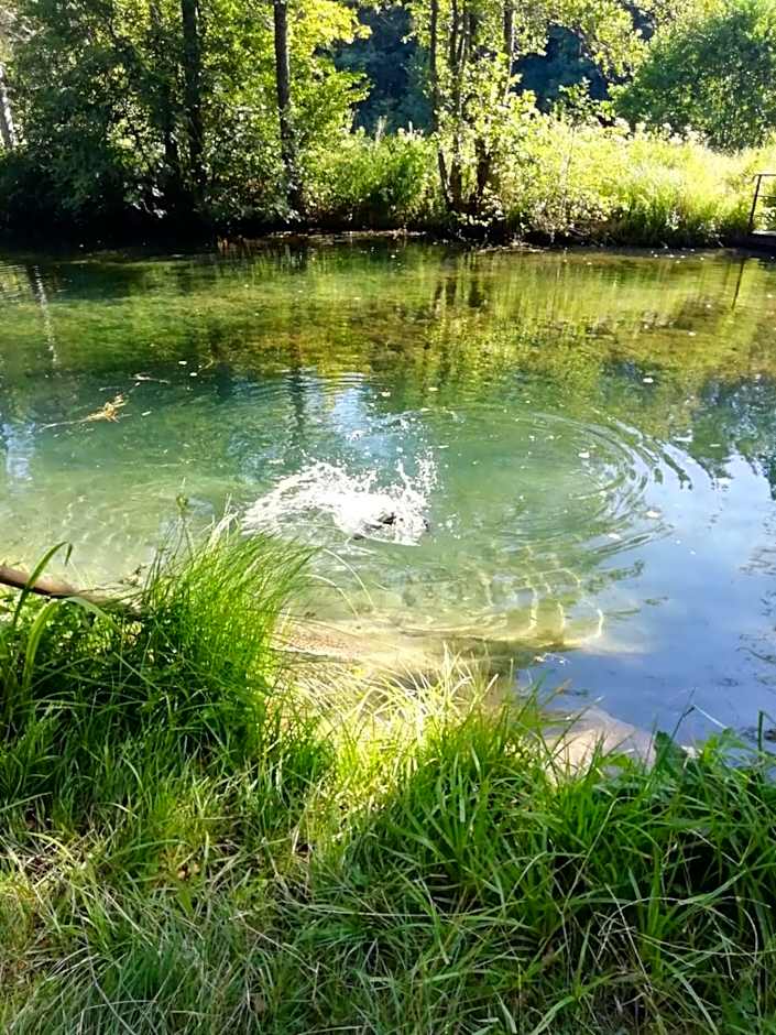 Lodge Hôtel de Sommedieue Verdun