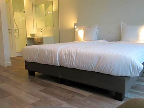 Deluxe Twin Room with Kitchenette and Terrace