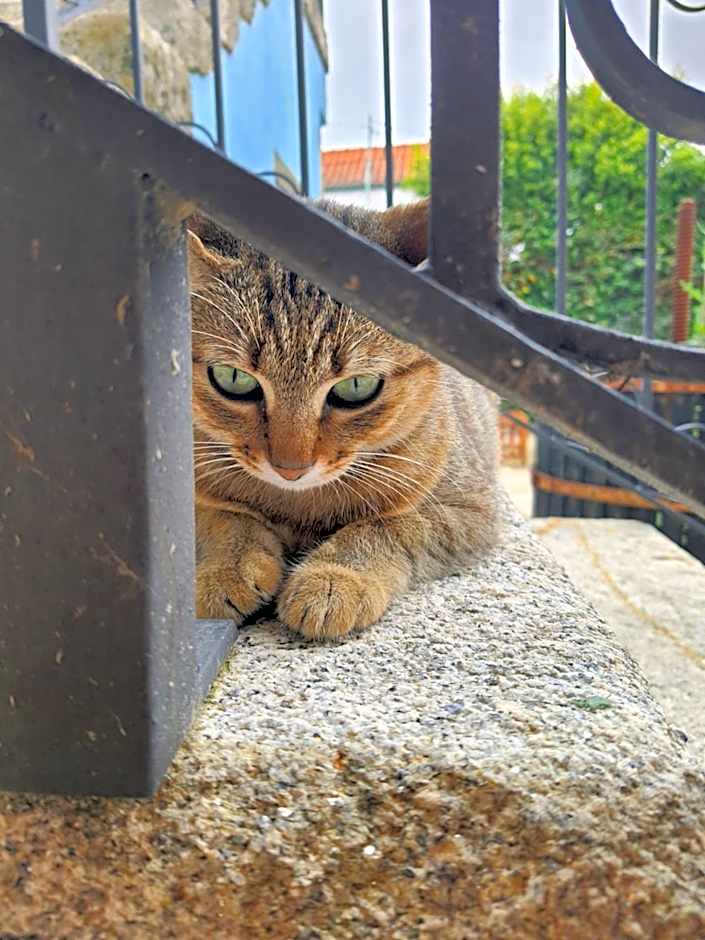 Alvorada Medieval, AL